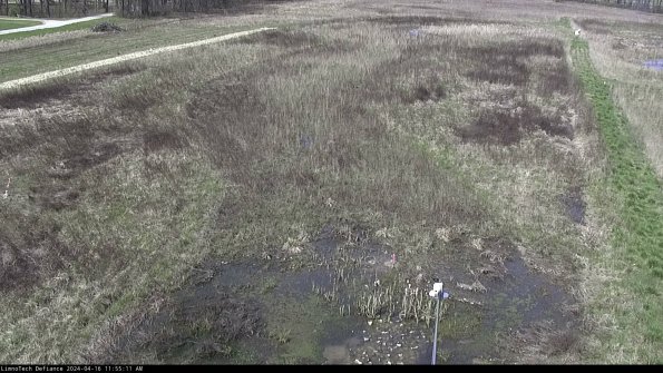 Cell 1_24-04-16_11-55-12-32