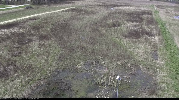 Cell 1_24-04-16_12-28-42-34