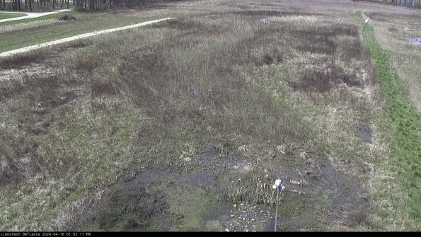 Cell 1_24-04-16_13-02-12-30