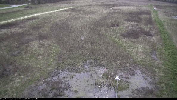 Cell 1_24-04-16_20-17-32-33