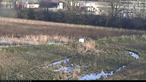 Cell 2 to 3_24-04-16_07-27-55-38