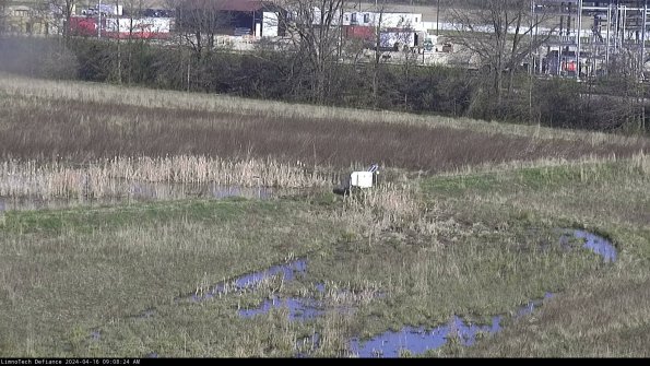 Cell 2 to 3_24-04-16_09-08-24-50