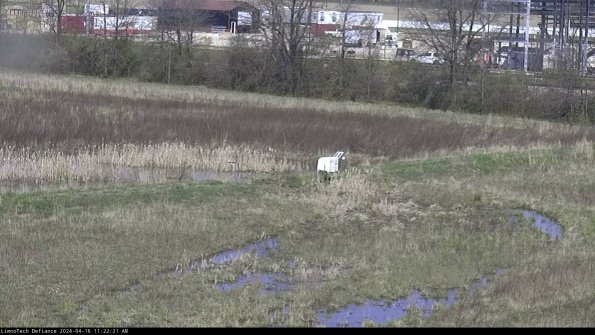 Cell 2 to 3_24-04-16_11-22-22-37