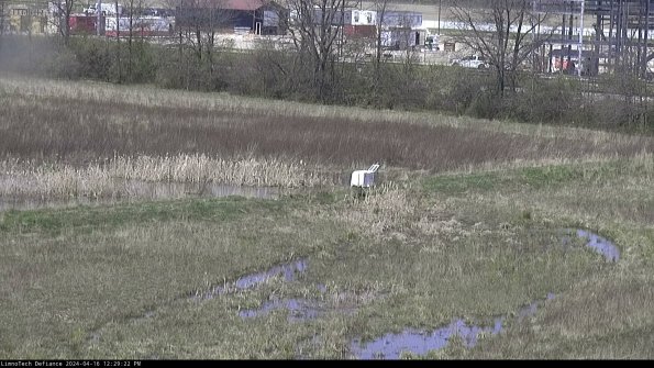 Cell 2 to 3_24-04-16_12-29-22-45