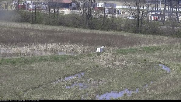 Cell 2 to 3_24-04-16_13-36-21-49