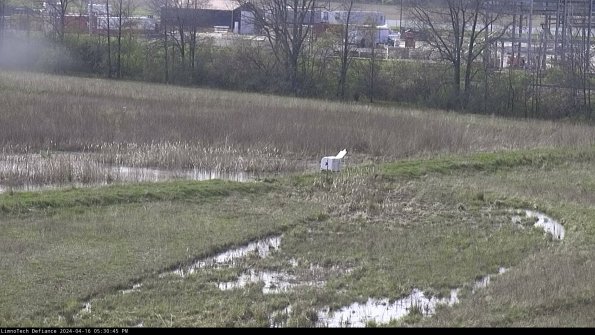 Cell 2 to 3_24-04-16_17-30-45-47