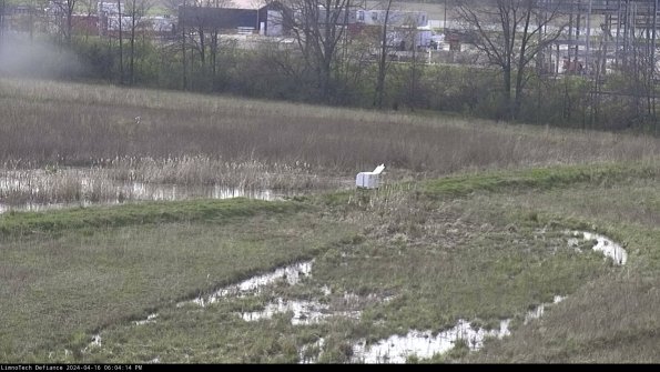 Cell 2 to 3_24-04-16_18-04-14-44