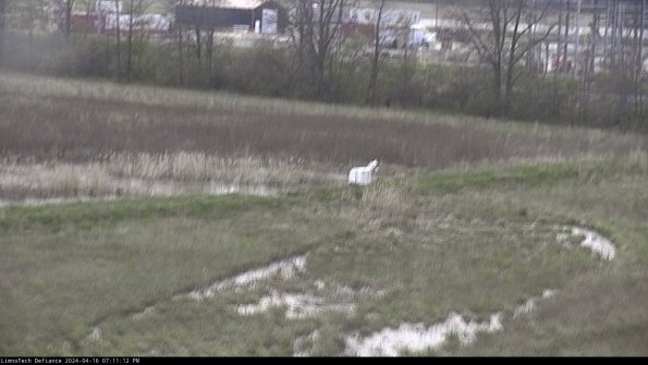 Cell 2 to 3_24-04-16_19-11-13-38