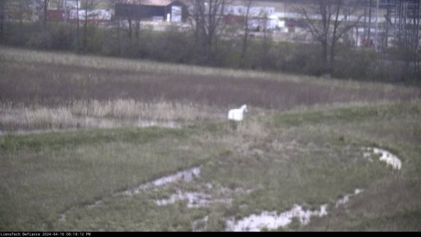 Cell 2 to 3_24-04-16_20-18-12-47