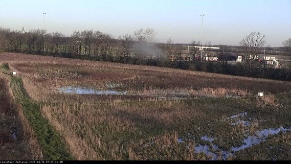 Cell 2_24-04-16_07-27-42-37