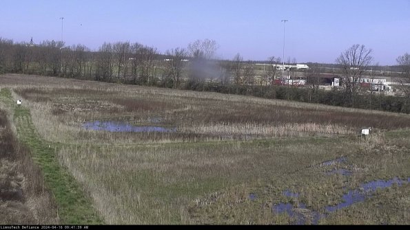 Cell 2_24-04-16_09-41-40-40