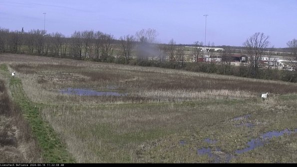 Cell 2_24-04-16_11-22-09-36