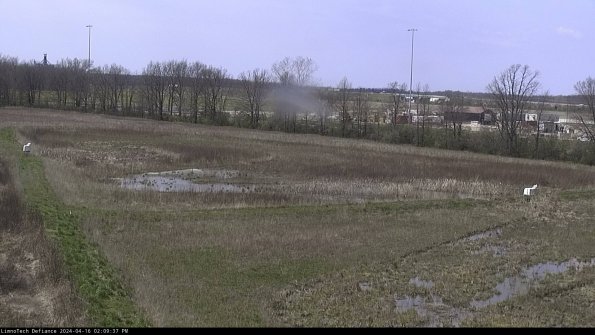 Cell 2_24-04-16_14-09-38-37