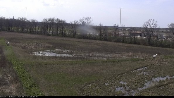 Cell 2_24-04-16_16-23-33-35