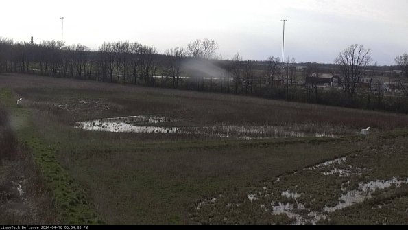 Cell 2_24-04-16_18-04-01-33