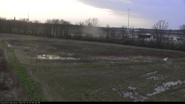 Cell 2_24-04-16_19-44-29-46