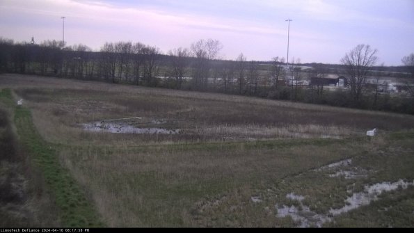 Cell 2_24-04-16_20-17-59-35