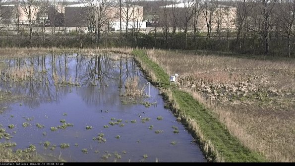 Cell 3 to 4_24-04-16_09-08-53-36