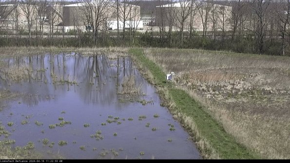 Cell 3 to 4_24-04-16_11-22-51-34