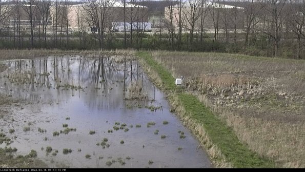 Cell 3 to 4_24-04-16_17-31-14-33