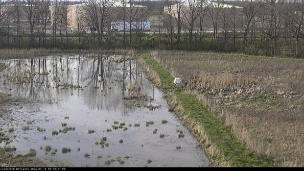 Cell 3 to 4_24-04-16_18-38-12-33