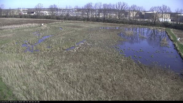 Cell 3_24-04-16_09-08-39-34