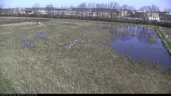 Cell 3_24-04-16_09-42-08-33