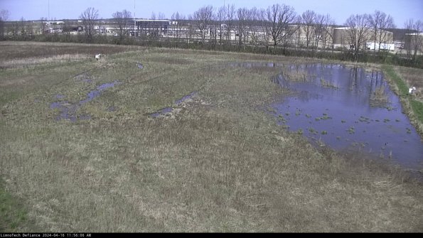 Cell 3_24-04-16_11-56-07-31