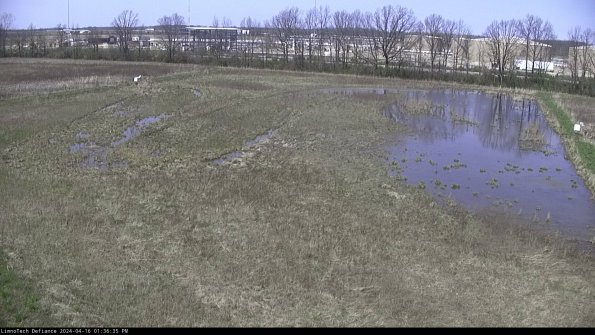 Cell 3_24-04-16_13-36-36-34