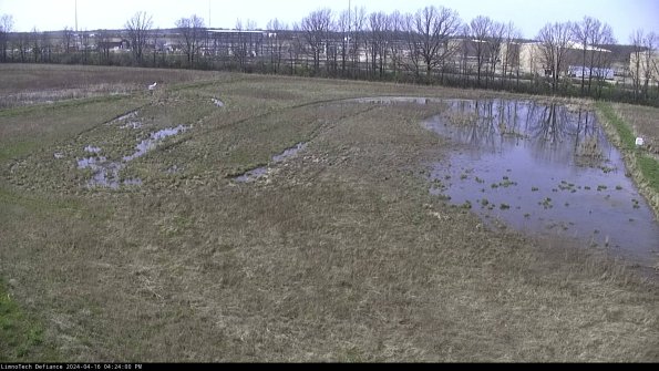 Cell 3_24-04-16_16-24-00-58