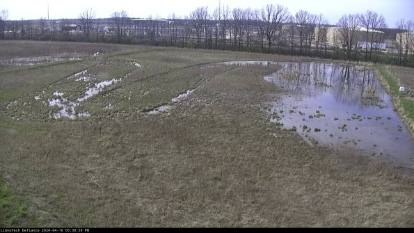 Cell 3_24-04-16_17-31-00-35