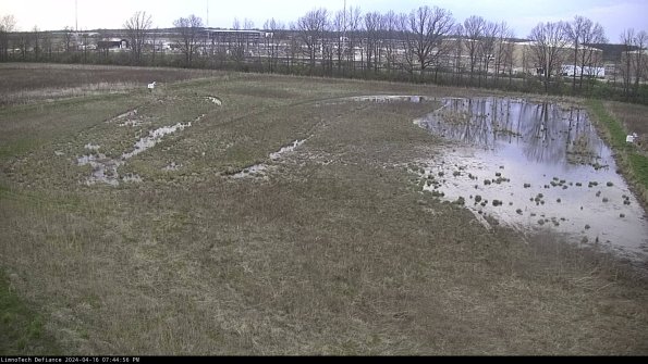 Cell 3_24-04-16_19-44-57-32