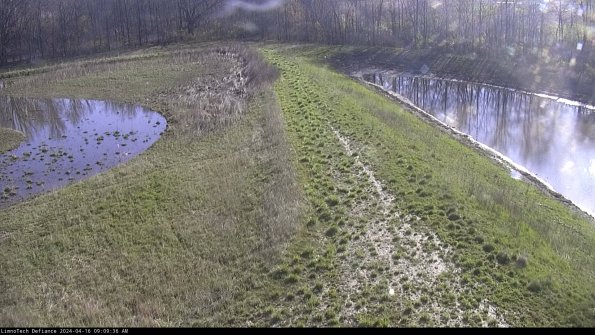 Cell 4 to Basin_24-04-16_09-09-37-34