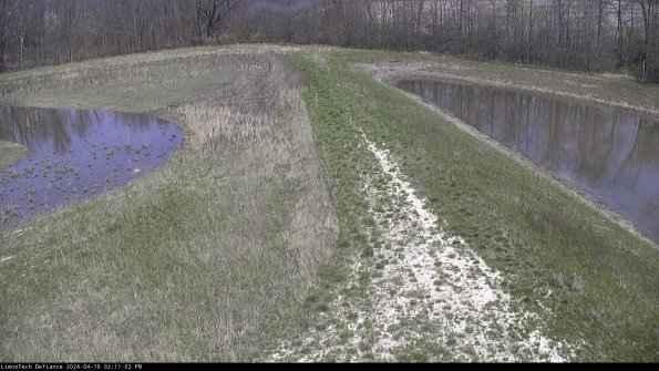 Cell 4 to Basin_24-04-16_14-11-03-33