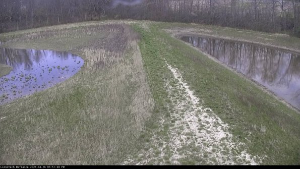 Cell 4 to Basin_24-04-16_15-51-29-35