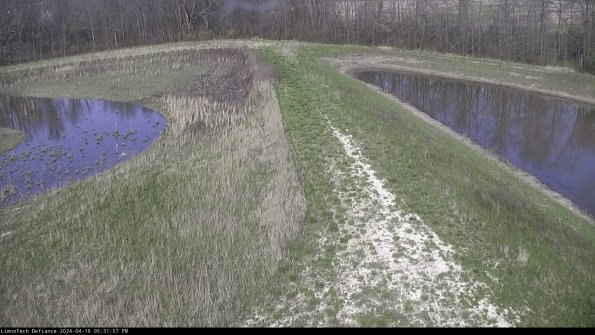 Cell 4 to Basin_24-04-16_17-31-58-34