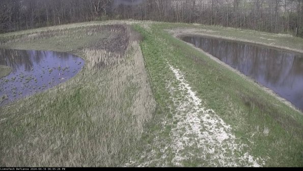 Cell 4 to Basin_24-04-16_18-05-27-32