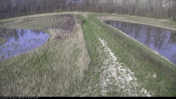 Cell 4 to Basin_24-04-16_18-38-56-37