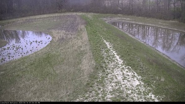 Cell 4 to Basin_24-04-16_19-45-55-34