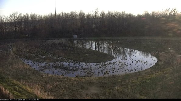 Cell 4_24-04-16_07-28-38-33