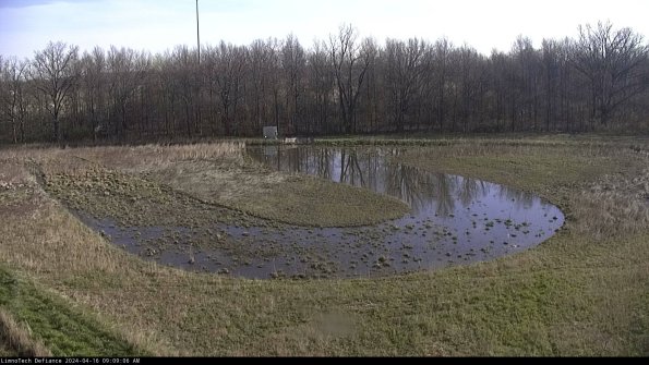 Cell 4_24-04-16_09-09-07-31