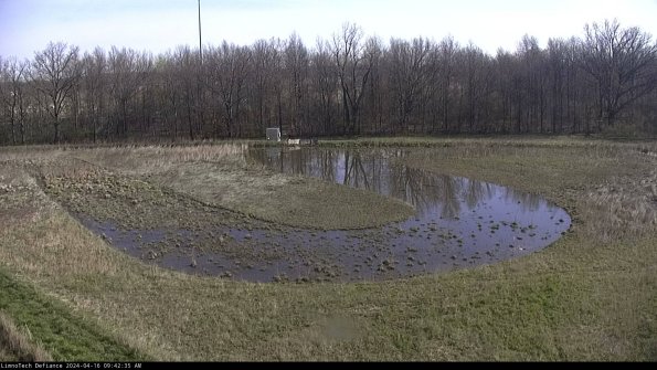 Cell 4_24-04-16_09-42-36-32