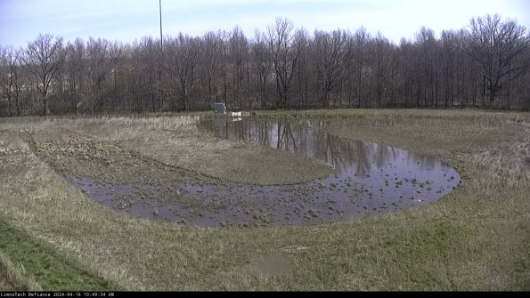 Cell 4_24-04-16_10-49-35-33