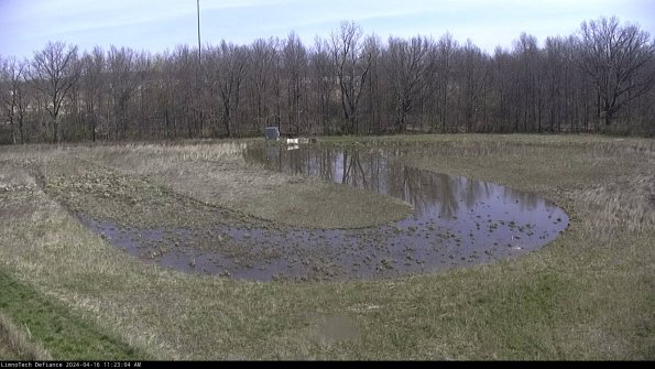 Cell 4_24-04-16_11-23-05-32