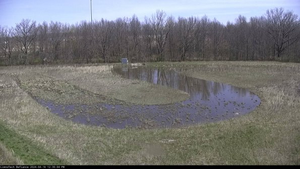 Cell 4_24-04-16_12-30-05-33