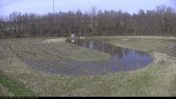 Cell 4_24-04-16_16-24-28-31