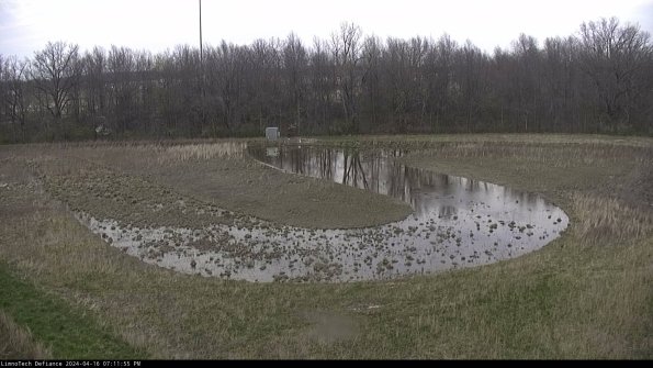 Cell 4_24-04-16_19-11-56-33