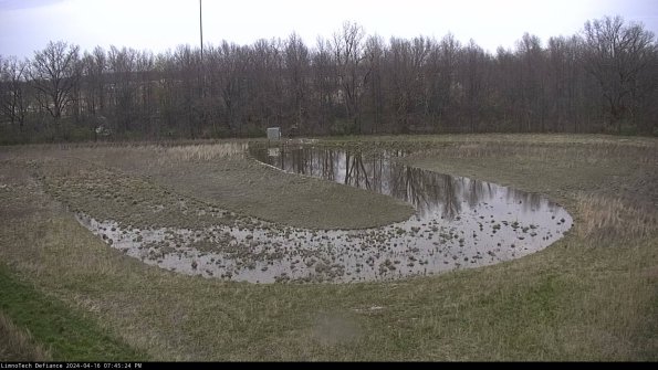 Cell 4_24-04-16_19-45-25-31