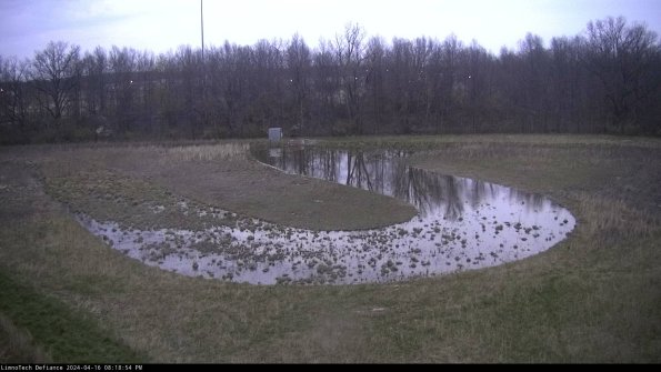 Cell 4_24-04-16_20-18-55-34