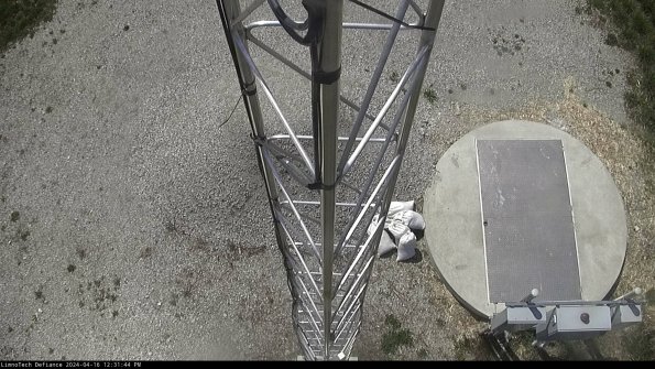 Hatch_24-04-16_12-31-45-33